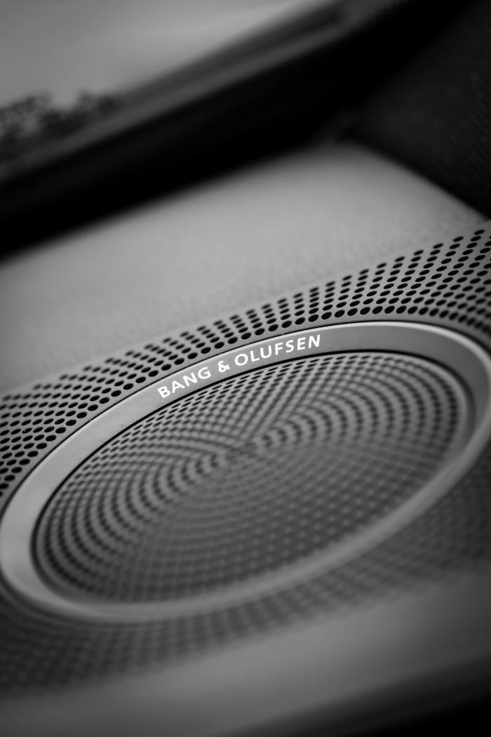 services-01 Close-up of Bang & Olufsen speaker in car interior, featuring stylish design.